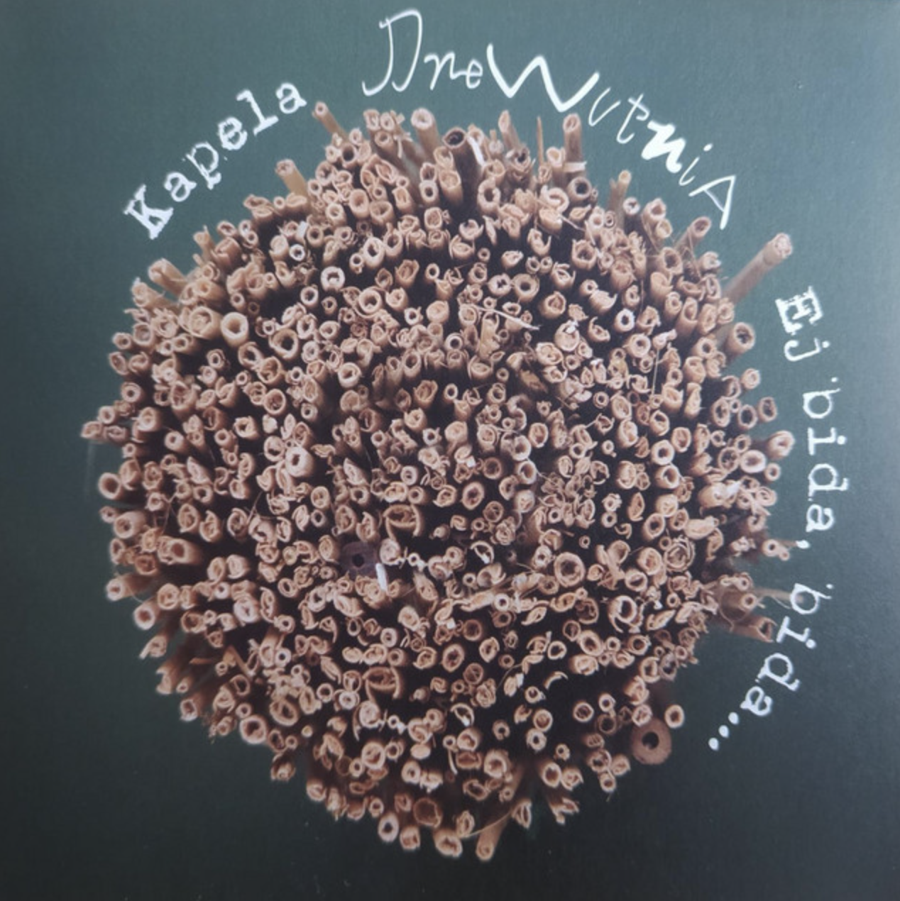 Okładka płyty Ej, Bida Bida